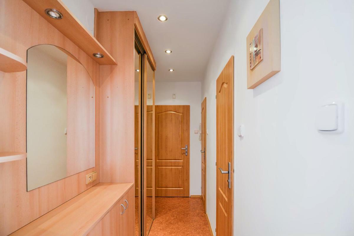 Apartman Destne 58 Appartement Destne v Orlickych horach Buitenkant foto