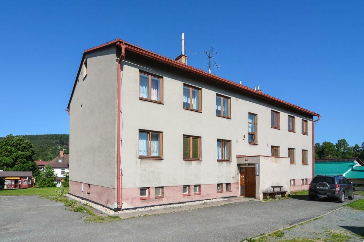 Apartman Destne 58 Appartement Destne v Orlickych horach Buitenkant foto